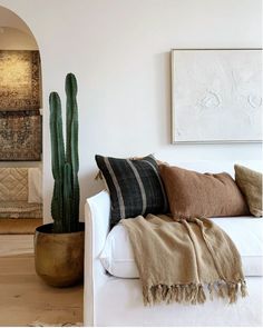 a living room filled with furniture and a cactus