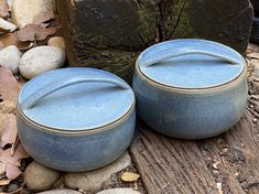 two blue bowls sitting on top of a wooden table next to rocks and wood logs