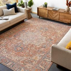 a living room filled with furniture and a large rug