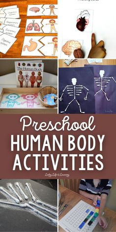 Preschool Human Body Activities Body Preschool Craft, Anatomy Activities For Preschool, My Amazing Body Preschool Activities, Body Systems Preschool, Our Bodies Preschool Crafts, Anatomy For Preschoolers, Pre K Human Body Activities, Preschool Anatomy Activities, The Human Body Activities For Kids