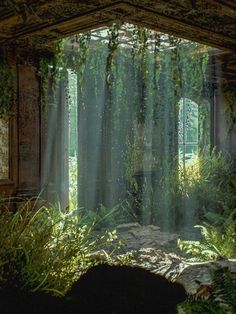 sunlight streaming through the window into an abandoned building with plants growing out of it's windows