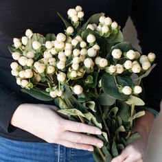 a close up of a person holding a bunch of flowers with leaves on the stems