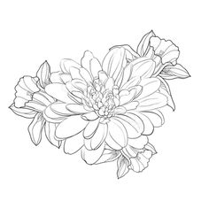 a black and white drawing of a flower