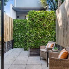 an outdoor patio with chairs and plants on the wall