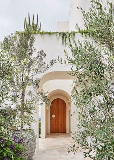 an entrance to a house with olive trees in the foreground and white stucco walls