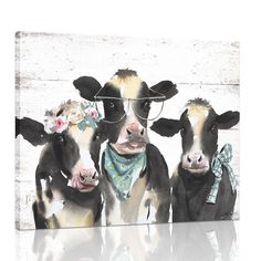 three cows wearing sunglasses and bandanas are standing together