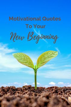 a plant sprouting from dirt with the words motivational quotes to your new beginning