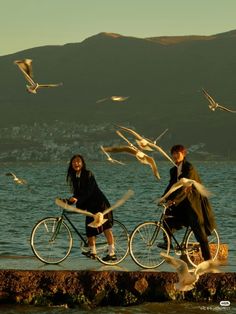 two people riding bikes next to the ocean with seagulls flying around them and birds in the air