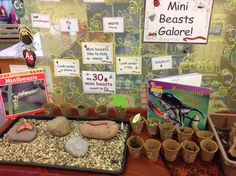 there are many plants and rocks on display in this classroom setting, including seed cups