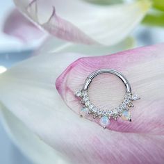 a close up of a flower with a ring on it's end and some flowers in the background