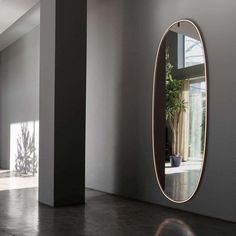 an oval mirror hanging on the wall next to a plant in a room with large windows