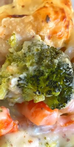 broccoli, shrimp and cheese casserole on a plate