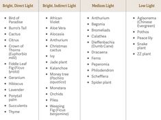 three different types of light bulbs are shown in this table listing the various types of light bulbs