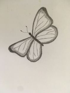 a drawing of a butterfly flying in the air