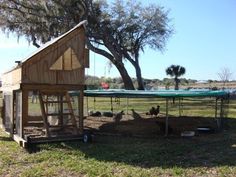 an outdoor chicken coop with chickens in it and a green tarp on the roof