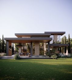 a modern house is shown with grass and trees