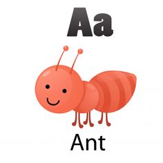 the letter a is for ant