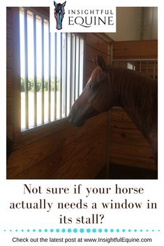 a brown horse standing next to a window in a stall with the words, not sure if your horse actually needs a window in its stall?