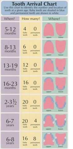 Baby Information, Baby Mode, Baby Massage, Baby Tips, Baby Development, Baby Time, Everything Baby, Shark Teeth