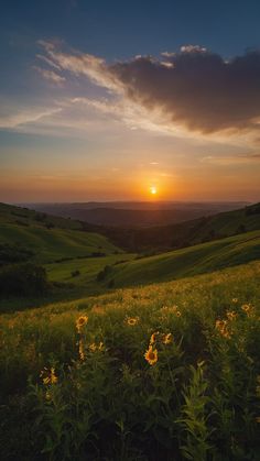 the sun is setting over an open field with wildflowers in bloom and green grass