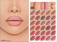 the lip color chart shows different shades of lipstick and how to apply them with it