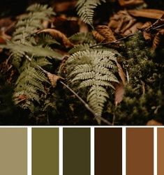 the color palette is brown, green, and tan with lots of leaves on it