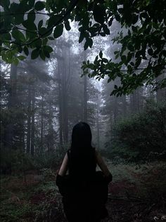 a woman sitting in the middle of a forest on a foggy day with her back to the camera