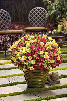 a potted plant with yellow and red flowers in it sitting on the ground outside