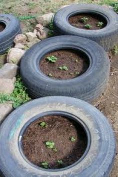 four tires with plants growing in them sitting on the ground next to rocks and grass