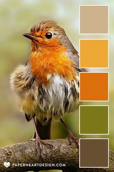 a bird sitting on top of a tree branch with color swatches in the background