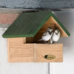 two small birds perched on top of a wooden bird house