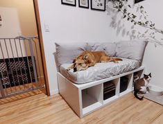 2x Kallax shelves (1 x 4 cubes) laid horizontally. Toddler/crib mattress added on top. 4x standard size pillows. Extra tall baby gate, bath mat with water dish. Perfect dog bedroom bed Ikea Kallax. Dog management in home. R+ Dog Bed Bench Ideas, Dog Sleep Area, Dog Room Storage Ideas, Dog Sofa Diy, Dog Couch Diy, Dog Bed In Office, Cozy Dog Crate Ideas, Ikea Dog Bed Hack, Dog Bed Ideas For Living Room