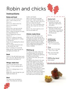 the instructions for crochet robin and chicks are shown in this brochure