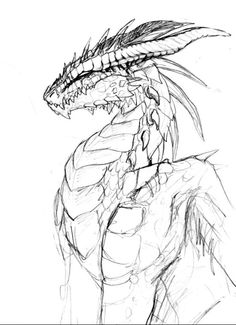 a black and white drawing of a dragon