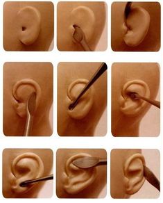 there are many pictures of different types of ear