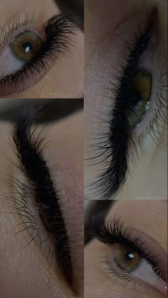 Eyelash Photography Photo Ideas, Lash Academy, Perfect Lashes, Lash Lounge, Best False Eyelashes, Lash Designer