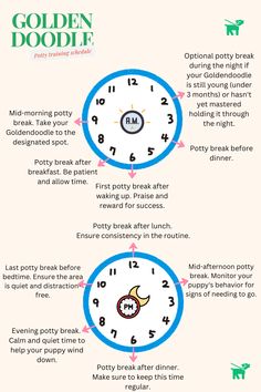 an info sheet describing the different types of clocks