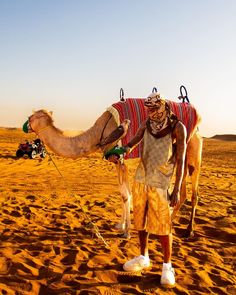 a man with a camel in the desert