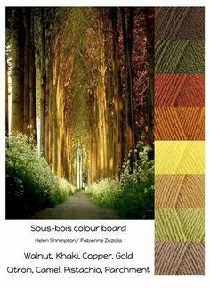 an image of a tree lined path with text that reads sous - bois color board walnut, kiheiki, copper, gold, citron, camell, cameli, pistachio, and parchment