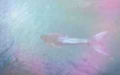 a person swimming in the water with a pink and blue substance on their back legs