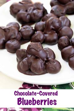 chocolate covered blueberries on a white plate with the words chocolate covered blueberries above it