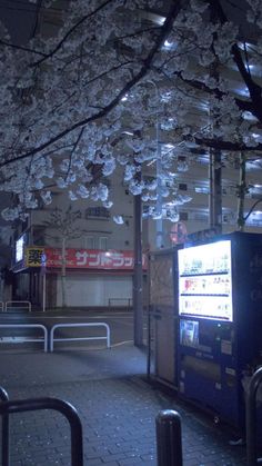 a city street at night with cherry blossoms on the trees