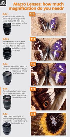 an info sheet showing the different types of camera lens sizes and how to use them