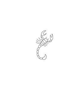 a black and white drawing of a scorpion