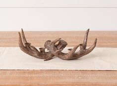 two antlers are sitting on top of a table