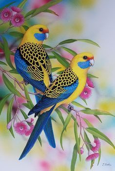 two yellow and blue parakeets sitting on top of a branch with pink flowers