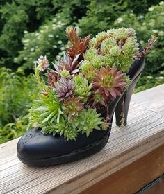 a pair of black high heeled shoes with succulents on them