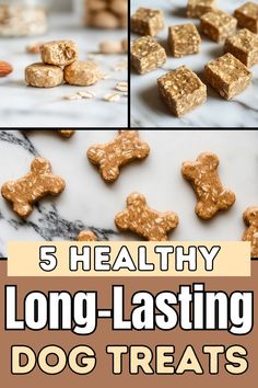 dog treats with the words 5 healthy long - tasting dog treats on top and bottom