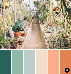 an image of a greenhouse with plants in it and color swatches on the side