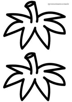 two black and white flowers on a white background